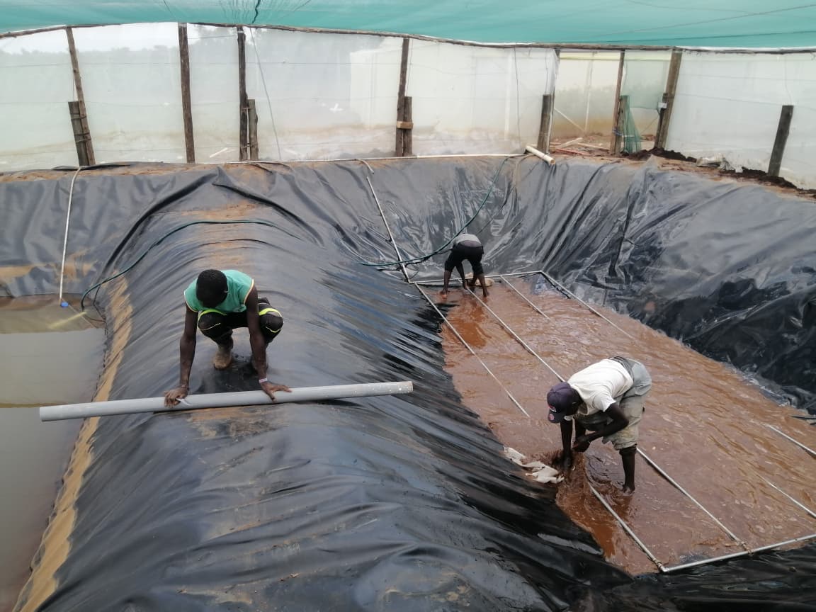 Solar Project 4