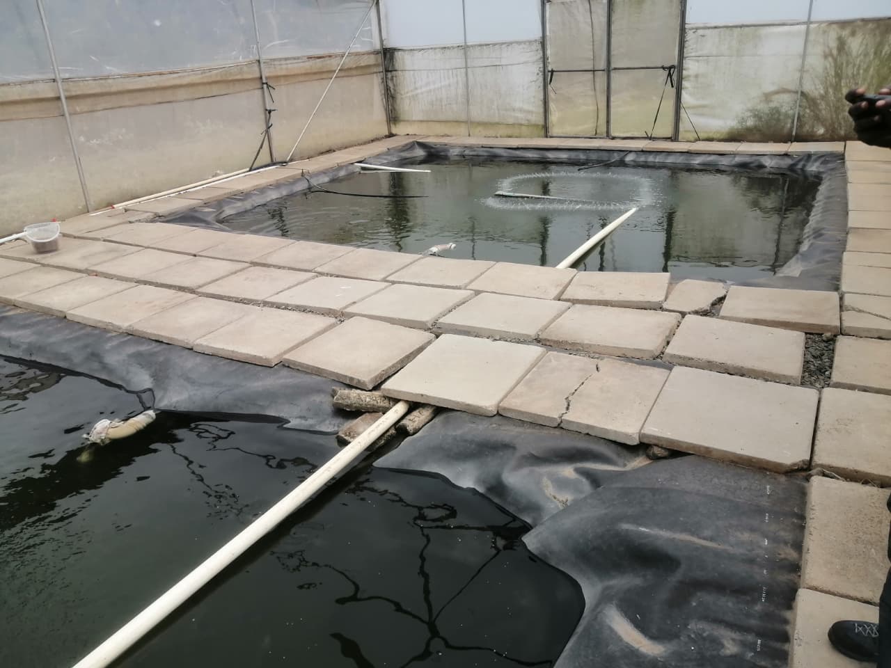 Solar Project 2