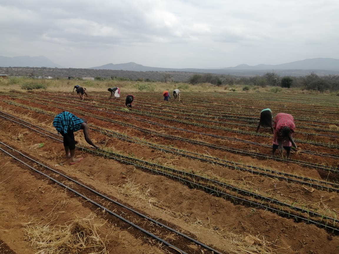 Solar Project 3